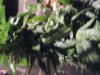 DSCF5109.jpg