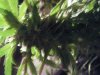 DSCF5117.jpg