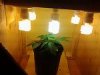 20121218_163714.jpg 20121218_163714.jpg