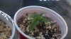 2012-12-20_10-46-49_35.jpg 2012-12-20_10-46-49_35.jpg
