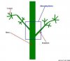 26_Alternating_nodes_1---.jpg