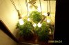 lights3 9-23.jpg