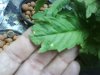 DSC00033.jpg