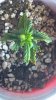 2012-12-21_10-04-15_223.jpg