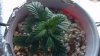 2012-12-21_10-04-36_638.jpg