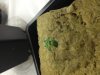 IMG_0162.jpg IMG_0162.jpg