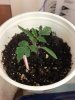 2012-12-22_00-34-08_433.jpg