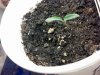 2012-12-22_00-34-14_723.jpg