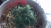 2012-12-22_17-06-04_125.jpg