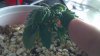 2012-12-22_17-06-21_911.jpg