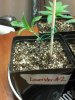 2012-12-23_23-27-17_46.jpg 2012-12-23_23-27-17_46.jpg