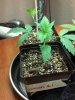 2012-12-23_23-27-26_464.jpg 2012-12-23_23-27-26_464.jpg