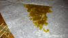 2012-12-23_18-13-08_433.jpg 2012-12-23_18-13-08_433.jpg