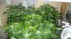 2012-12-24_07-37-49_187.jpg