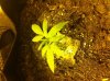 photo-12.jpg