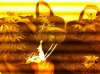 photo-11.jpg