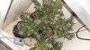 chrismas chop 020.jpg