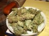 DSC00230.jpg