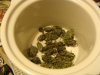 DSC00233.jpg
