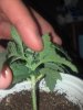 2012-12-28_14-09-24_402.jpg