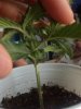 2012-12-28_14-07-46_551.jpg