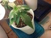 2012-12-28_00-07-20_705.jpg
