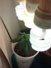 2012-12-28_00-07-10_957.jpg
