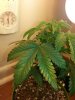 20121227_133144.jpg