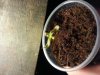 20121229_101814.jpg