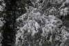 DSC_0002.jpg