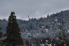 DSC_0071.jpg