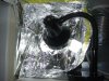 DSC00461.jpg