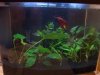 6gallon.jpg