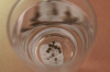 IMG_0423.png IMG_0423.png