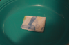IMG_0424.png IMG_0424.png