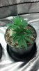 2013-01-01_10-59-16_12.jpg