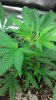 2013-01-01_10-59-43_549.jpg