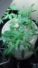 2013-01-01_12-09-42_945.jpg