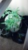 2013-01-01_12-09-59_478.jpg