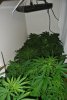DSC_1492.jpg