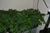 DSC_1499.jpg