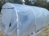 mini greenhouse 2.jpg mini greenhouse 2.jpg