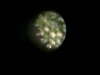 DSCI0572.jpg