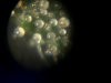 DSCI0582.jpg