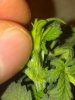 2013-01-03_13-59-26_0.jpg