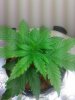 2013-01-03 22.57.37.jpg