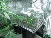 grow journal 024.jpg