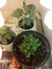 2013-01-04_01-13-38_124.jpg