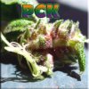 pck avatar.jpg