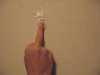 fuck you bitch.jpg
